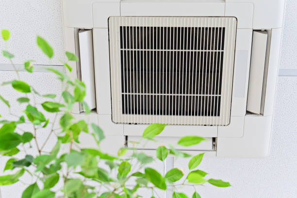 Best Air Vent Cleaning Services  in Mililani Mauka, HI